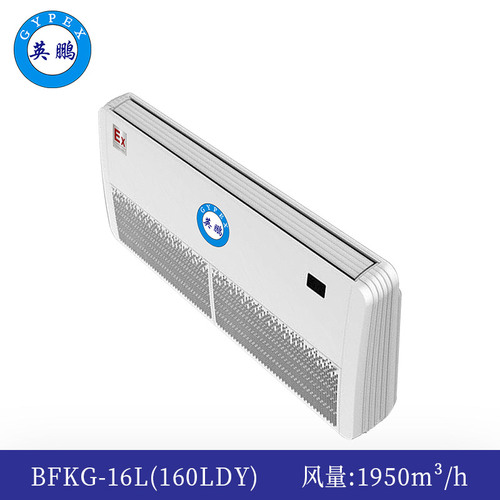 防爆多聯(lián)機(jī)座吊式內(nèi)機(jī)-16L