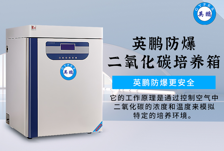 防爆二氧化碳培養(yǎng)箱1.jpg