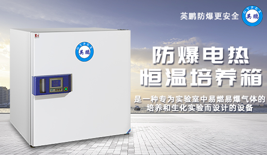 防爆電熱恒溫培養(yǎng)箱1.jpg