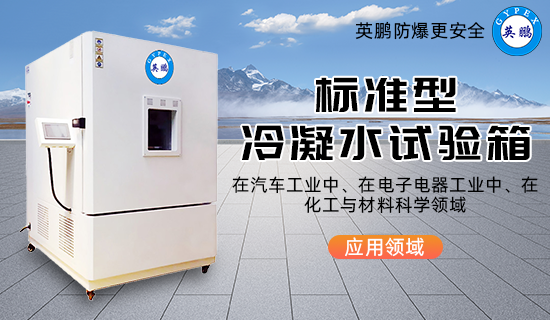 標(biāo)準(zhǔn)型冷凝水試驗箱3.png