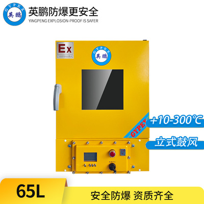立式防爆鼓风干燥箱65L