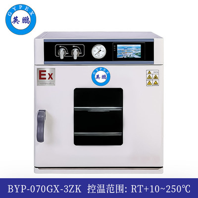 真空防爆干燥箱24L