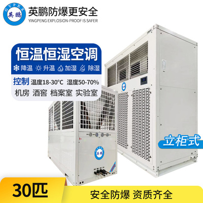 防爆恒温恒湿空调30匹