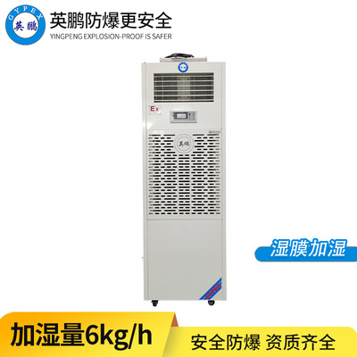 防爆湿膜加湿机6KG/H