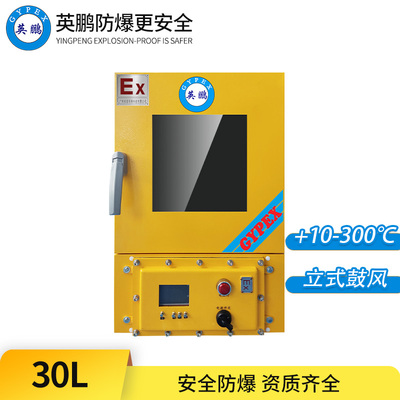 立式防爆鼓风干燥箱30L